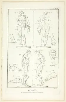 Design: Proportions of the Antinoüs Statue, from Encyclopédie, 1762/77. Creator: A. J. Defehrt