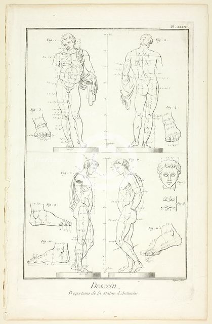 Design: Proportions of the Antinoüs Statue, from Encyclopédie, 1762/77. Creator: A. J. Defehrt.