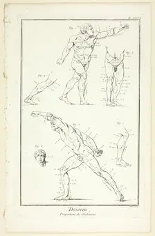 Design: Proportions of the Gladiator, from Encyclopédie, 1762/77. Creator: Benoit-Louis Prevost