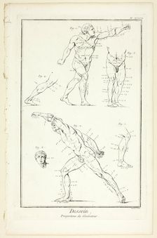 Design: Proportions of the Gladiator, from Encyclopédie, 1762/77. Creator: Benoit-Louis Prevost