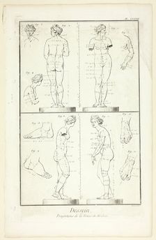 Design: Proportions of the Medici Venus, from Encyclopédie, 1762/77. Creator: Benoit-Louis Prevost