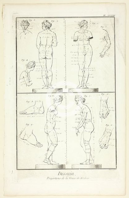 Design: Proportions of the Medici Venus, from Encyclopédie, 1762/77. Creator: Benoit-Louis Prevost.
