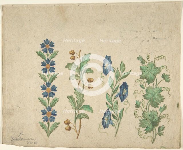 Designs for Embroidery, 19th century. Creator: Anon.