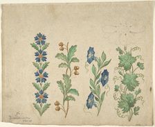 Designs for Embroidery, 19th century. Creator: Anon