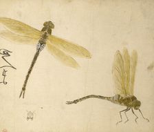 Designs for Inro and Other Lacquers, 1801. Creator: Hara Yoyusai