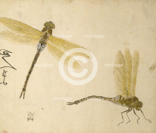 Designs for Inro and Other Lacquers, 1801. Creator: Hara Yoyusai.