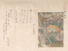 Designs of Imported Leathers, 19th century. Creator: Kubo Shunman