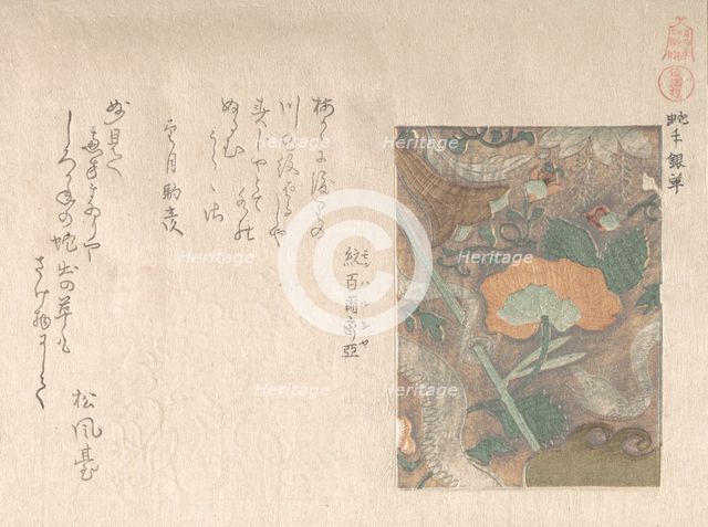 Designs of Imported Leathers, 19th century. Creator: Kubo Shunman.