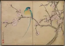 Desk Album: Flower and Bird Paintings (Bird with Plum Blossoms), 18th Century. Creator: Zhang Ruoai (Chinese)