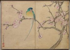 Desk Album: Flower and Bird Paintings (Bird with Plum Blossoms), 18th Century. Creator: Zhang Ruoai (Chinese)