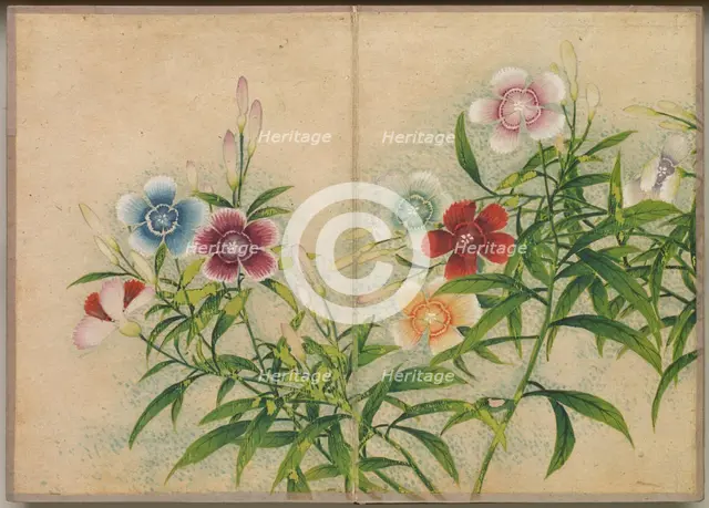 Desk Album: Flower and Bird Paintings (Pinks), 18th Century. Creator: Zhang Ruoai (Chinese).