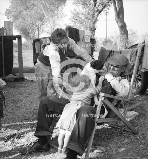 Destitute family, American River camp, Sacramento, California., 1936. Creator: Dorothea Lange.