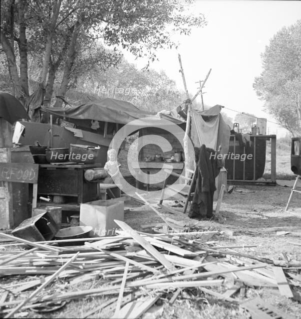 Destitute family, American River camp, Sacramento, California., 1936. Creator: Dorothea Lange.