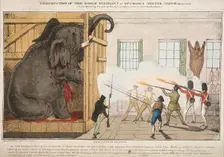 Destruction of the noble elephant sat Mr Cross's Exeter Change 1826. Artist: Ingrey and Madeley