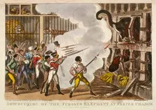 Destruction of the furious elephant at Exeter Change 1826. Artist: George Cruikshank