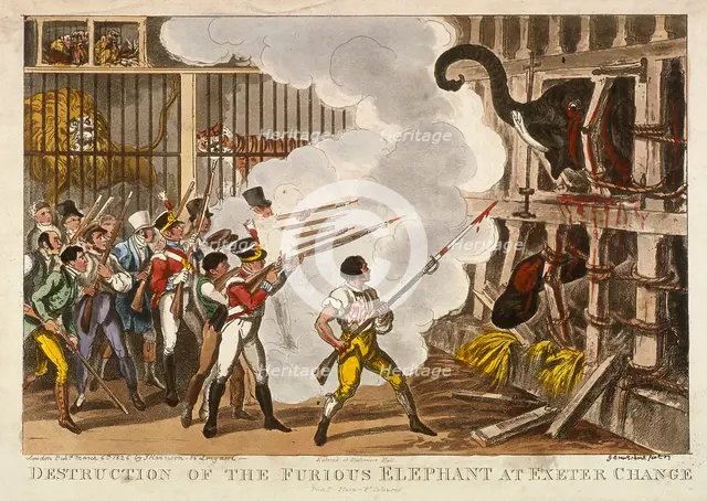 'Destruction of the furious elephant at Exeter Change', 1826. Artist: George Cruikshank