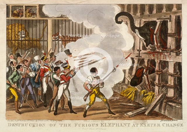 'Destruction of the furious elephant at Exeter Change', 1826. Artist: George Cruikshank