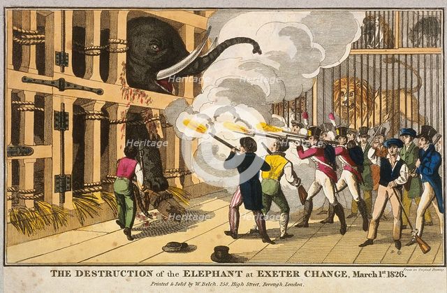 'Destruction of the furious elephant at Exeter Change', 1826. Artist: Anon