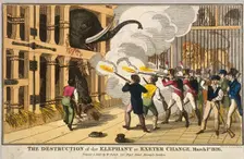 Destruction of the furious elephant at Exeter Change 1826. Artist: Anon