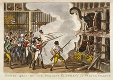 Destruction of the furious elephant at Exeter Change 1826. Artist: George Cruikshank