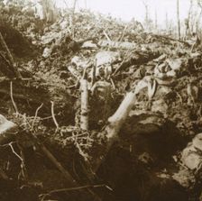 Destroyed shelter, Les Éparges, northern France, 1915