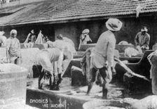 Dhobies at work, 20th century