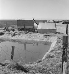 Ditch bank camp for migrant agricultural workers, California, 1937. Creator: Dorothea Lange