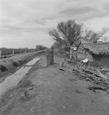 Ditch bank housing for Mexican field workers, Imperial Valley, California, 1937. Creator: Dorothea Lange