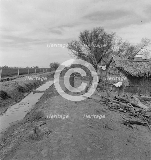 Ditch bank housing for Mexican field workers, Imperial Valley, California, 1937. Creator: Dorothea Lange.