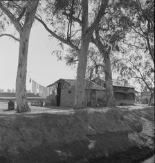 Ditch bank housing for Mexican field workers, Imperial Valley, California, 1937. Creator: Dorothea Lange