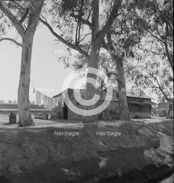 Ditch bank housing for Mexican field workers, Imperial Valley, California, 1937. Creator: Dorothea Lange.