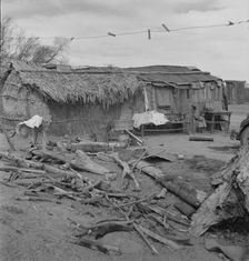 Ditch bank housing for Mexican field workers, Imperial Valley, California, 1937. Creator: Dorothea Lange