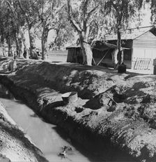 Ditch bank housing for Mexican field workers, Imperial Valley, California, 1937. Creator: Dorothea Lange
