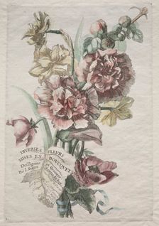 Divers fleurs mises en boucquets: No. 1 - Hollyhocks and Narcissus, c. 1670. Creator: Jacques I Bailly (French, 1634-1679)