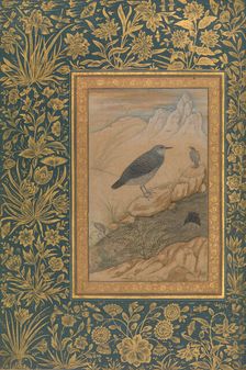 Diving Dipper and Other Birds, Folio from the Shah Jahan Album, recto: ca. 1610-15. Creator: Mansur
