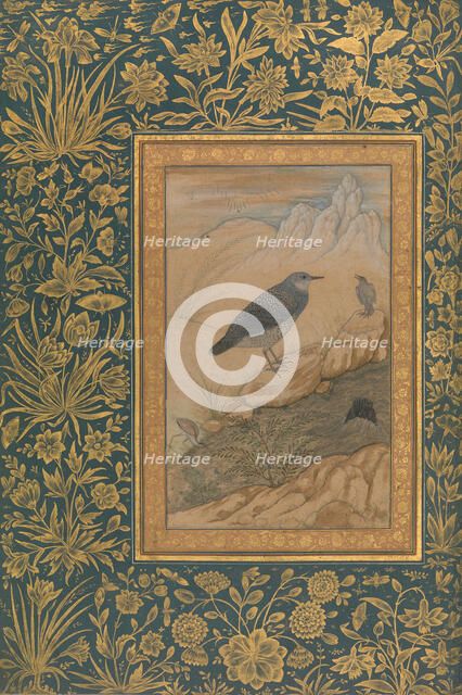 Diving Dipper and Other Birds, Folio from the Shah Jahan Album, recto: ca. 1610-15. Creator: Mansur.