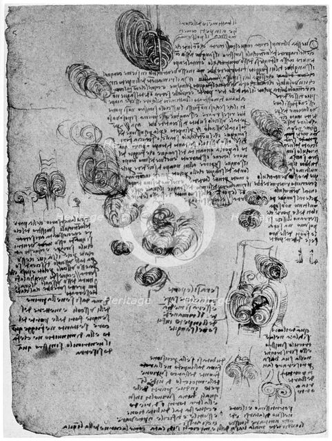 Diagram of the blood vortex in the heart, late 15th or early 16th century (1954). Artist: Leonardo da Vinci