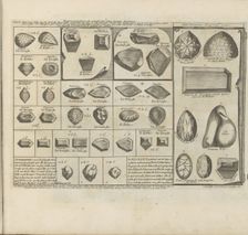 Diamonds. Above right - Great Mogul Diamond. From Les Indes Orientales et Occidentales et autres by