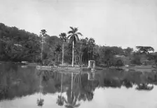 Die Insel im See von Kandy 1926