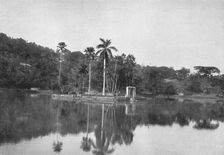 Die Insel im See von Kandy 1926