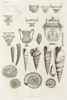 Different shells thought to inspire the forms of Etruscan vases, 1769. Creator: Giovanni Battista Piranesi