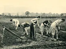 Digging and Planting 1943. Creator: Unknown