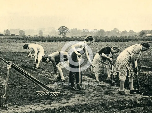 'Digging and Planting', 1943. Creator: Unknown.