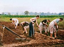 Digging and Planting 1943. Creator: Unknown