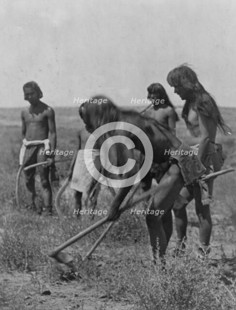 Digging out the snakes-Hopi, c1907. Creator: Edward Sheriff Curtis.
