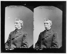 Dinismore, Hon. S.P. of N.Y. ?, between 1865 and 1880. Creator: Unknown