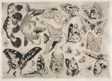 Dinner Service (Rousseau service): Butterflies and Fish (no. 16), 1866. Creator: Félix Bracquemond (French, 1833-1914)