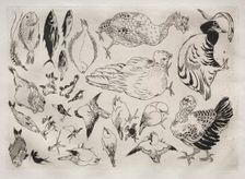 Dinner Service (Rousseau service): Ducks, fish, etc. (no. 12), 1866. Creator: Félix Bracquemond (French, 1833-1914)