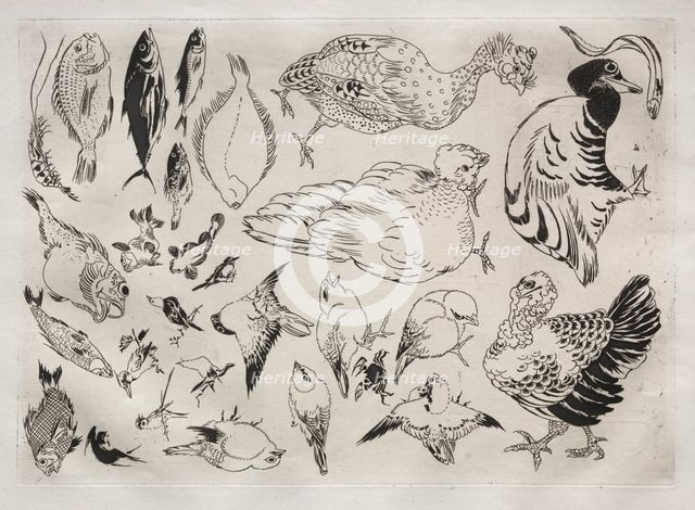 Dinner Service (Rousseau service): Ducks, fish, etc. (no. 12), 1866. Creator: Félix Bracquemond (French, 1833-1914).