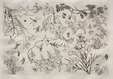 Dinner Service (Rousseau service): Flowers (no. 22), 1866. Creator: Félix Bracquemond (French, 1833-1914)
